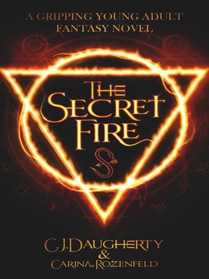 cover image of The Secret Fire